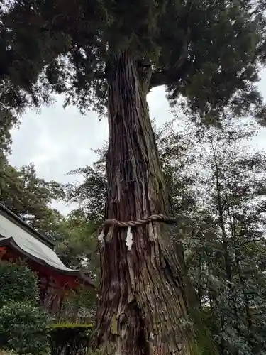 香取神宮(千葉県)