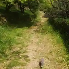 篠ｹ谷神社の動物