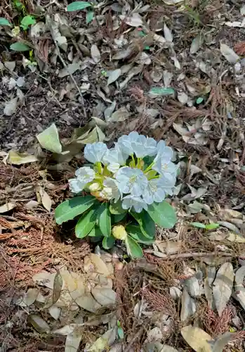 蚊里田八幡宮(長野県)