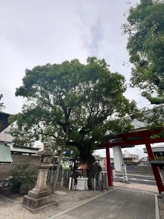 石津神社(大阪府)
