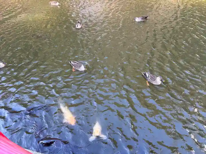 間々田八幡宮(栃木県)