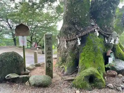 玉祖神社のその他建物