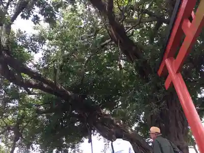 稲荷神社のその他建物