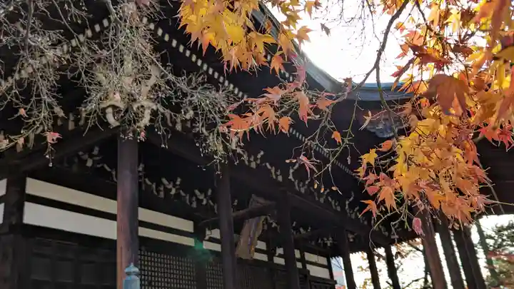 妙顯寺(妙顕寺)(京都府)