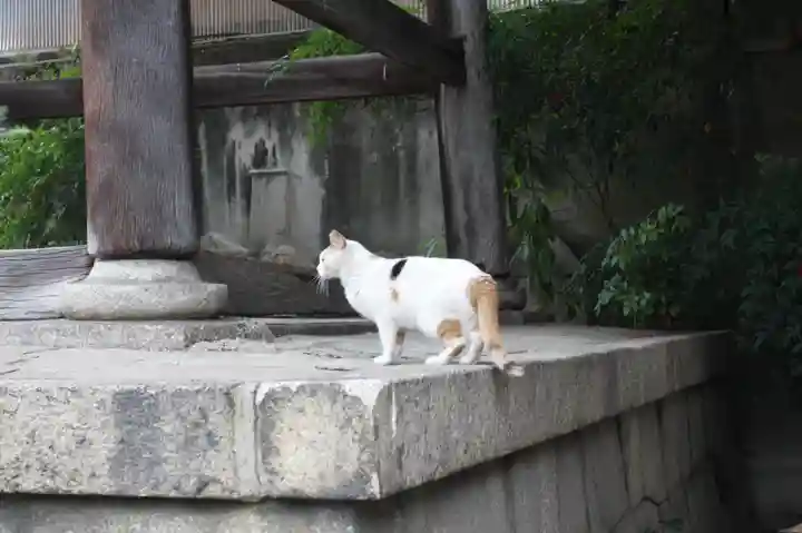 行願寺(革堂)(京都府)