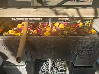 鳩森八幡神社(東京都)