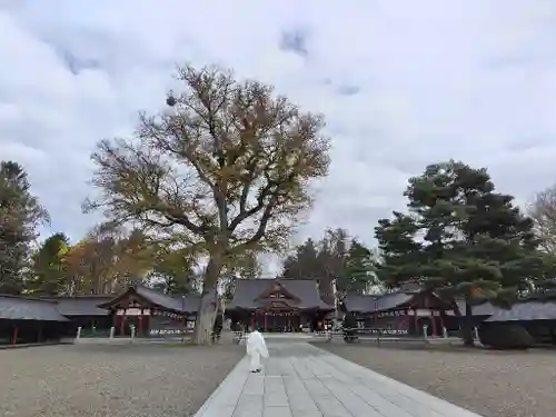 北海道護國神社の本殿・本堂