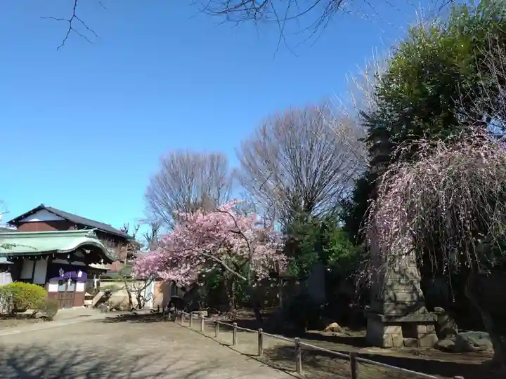 新井薬師(梅照院)(東京都)