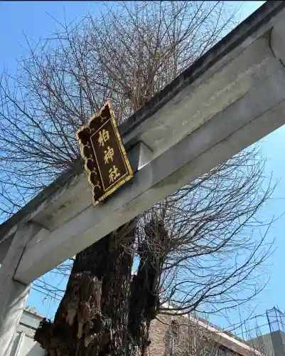 柏神社(千葉県)