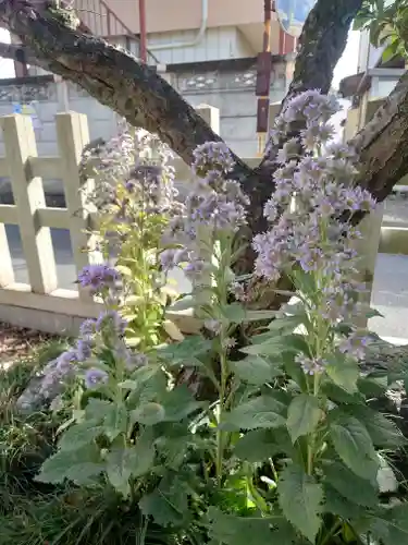 宮地天満宮(埼玉県)