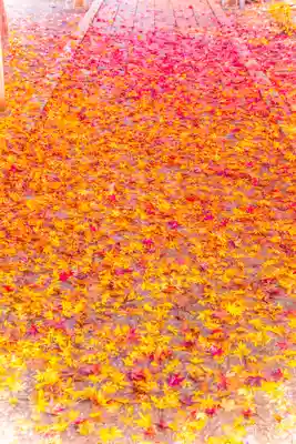 榊山稲荷神社(岩手県)