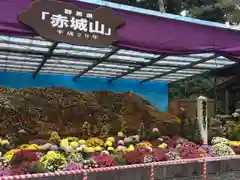 彌彦神社の建物その他