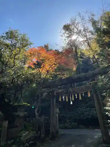 磐船神社の鳥居