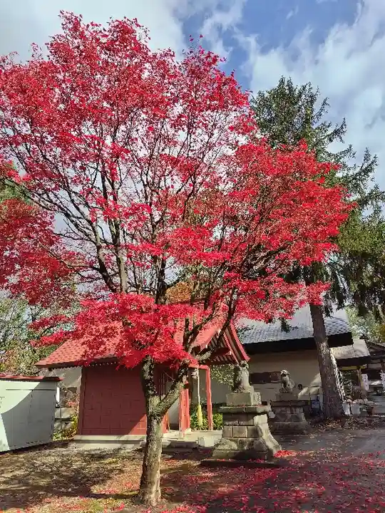 鷹栖神社の自然