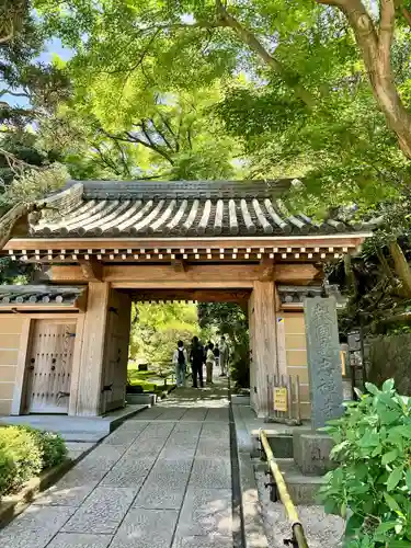 報国寺(神奈川県)