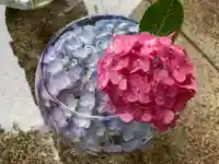 滑川神社 - 仕事と子どもの守り神(福島県)