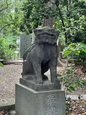 代々木八幡宮の狛犬
