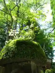 天岩戸神社(宮崎県)