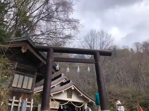 戸隠神社奥社の{uncategorized: "未分類", other: "その他", undefined: "問題あり", building: "その他建物", grave: "お墓", sacred_gate: "鳥居", guardian: "狛犬", statue: "像", buddha: "仏像", history: "歴史", nature: "自然", garden: "庭園", animal: "動物", pagoda: "塔", temizu: "手水舎", mountain_gate: "山門・神門", sanctuary: "本殿・本堂", subordinate: "末社・摂社", art: "芸術", scenery: "景色", jizo: "地蔵", ema: "絵馬", goshuin: "御朱印", omikuji: "おみくじ", items: "授与品その他", amulet: "お守り", goshuincho: "御朱印帳", eats: "食事", festival: "お祭り", votive_dance: "神楽", shichigosan: "七五三参", wedding: "結婚式", experience: "体験その他", initially: "初詣", around: "周辺", anti_infection: "感染症対策"}