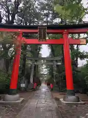 馬橋稲荷神社の鳥居