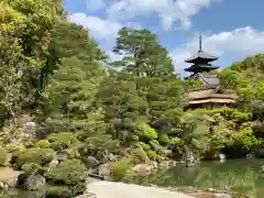 仁和寺の庭園