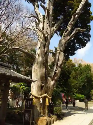 伊古奈比咩命神社のその他建物