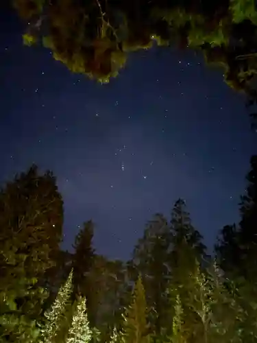 高野山金剛峯寺奥の院(和歌山県)