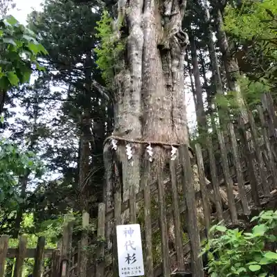 玉置神社(奈良県)