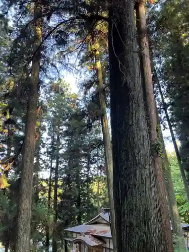 大宮温泉神社(栃木県)