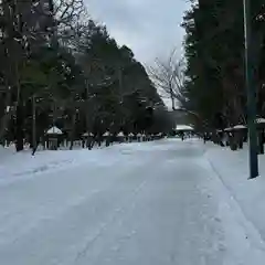 北海道神宮の景色