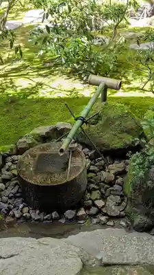 龍安寺(京都府)