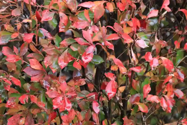 大鏑神社の庭園