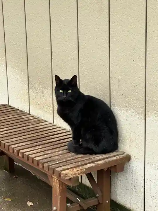 間々田八幡宮(栃木県)