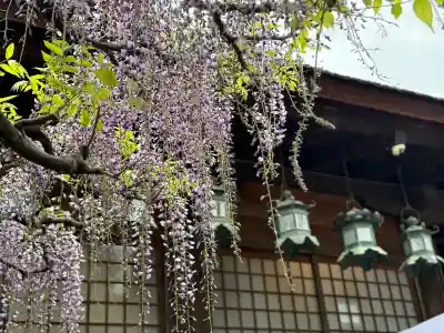 春日大社の{uncategorized: "未分類", other: "その他", undefined: "問題あり", building: "その他建物", grave: "お墓", sacred_gate: "鳥居", guardian: "狛犬", statue: "像", buddha: "仏像", history: "歴史", nature: "自然", garden: "庭園", animal: "動物", pagoda: "塔", temizu: "手水舎", mountain_gate: "山門・神門", sanctuary: "本殿・本堂", subordinate: "末社・摂社", art: "芸術", scenery: "景色", jizo: "地蔵", ema: "絵馬", goshuin: "御朱印", omikuji: "おみくじ", items: "授与品その他", amulet: "お守り", goshuincho: "御朱印帳", eats: "食事", festival: "お祭り", votive_dance: "神楽", shichigosan: "七五三参", wedding: "結婚式", experience: "体験その他", initially: "初詣", around: "周辺", anti_infection: "感染症対策"}