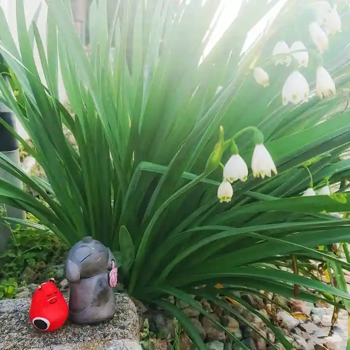 尾張大國霊神社(国府宮)の自然