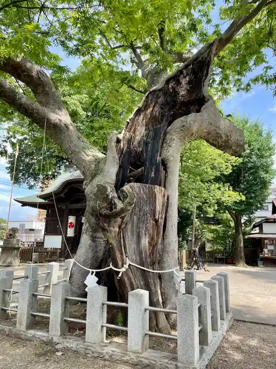 阿邪訶根神社(福島県)