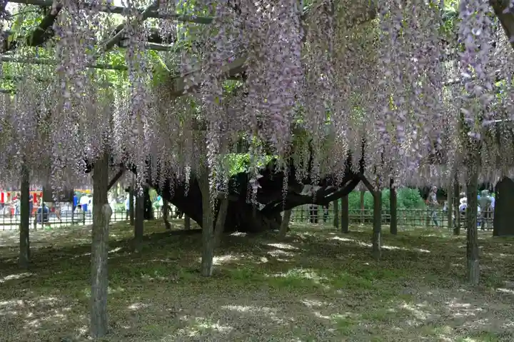 玉敷神社(埼玉県)