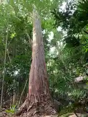 牟禮山観音禅寺の自然