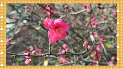 冠稲荷神社(群馬県)