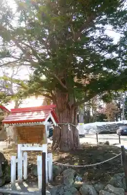 豊栄神社の自然