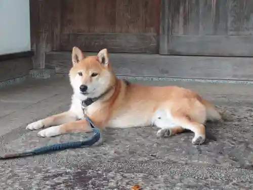 感通寺(東京都)