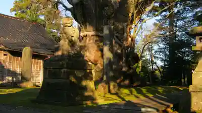 鵜川神社のその他建物