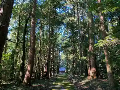 大井神社（太郎神社）の周辺