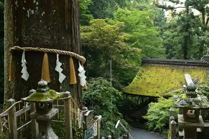 由岐神社(京都府)