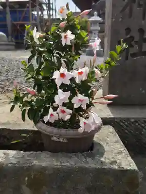 熊野福藏神社(福島県)