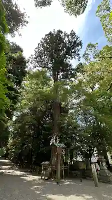 石上神宮(奈良県)