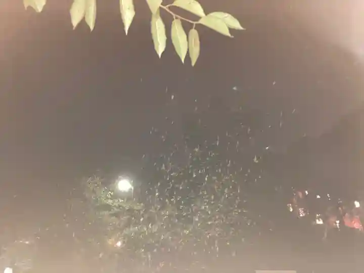 大船観音寺(神奈川県)