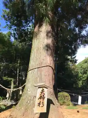 明石寺の自然