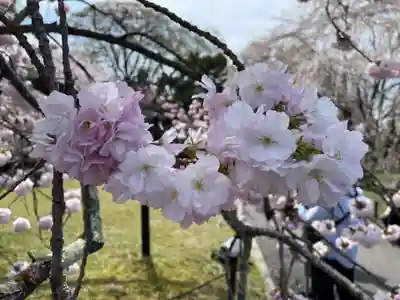 宝聚院(京都府)