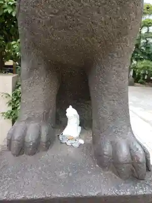 芝大神宮の狛犬